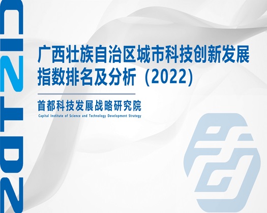 大jb用力抽插好舒服视频【成果发布】广西壮族自治区城市科技创新发展指数排名及分析（2022）